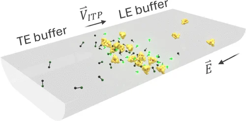 jiangkinetics.gif